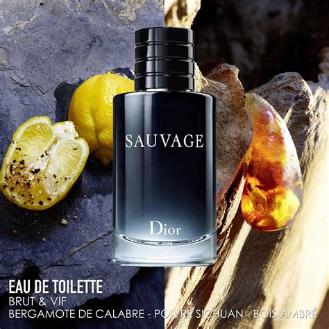 sauvage dior notas olfativas|sauvage de Dior.